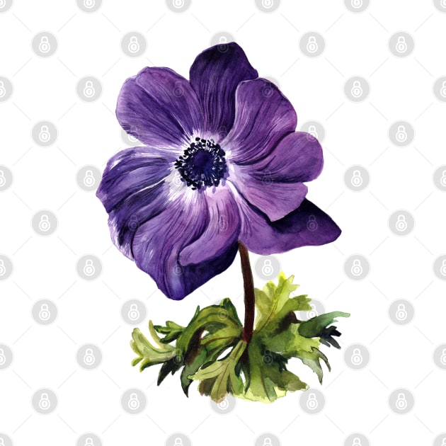 Anemone by artofsuff