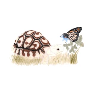 Tortoise and Butterfly T-Shirt