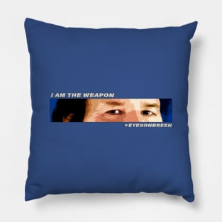 Eyes On Breen Pillow