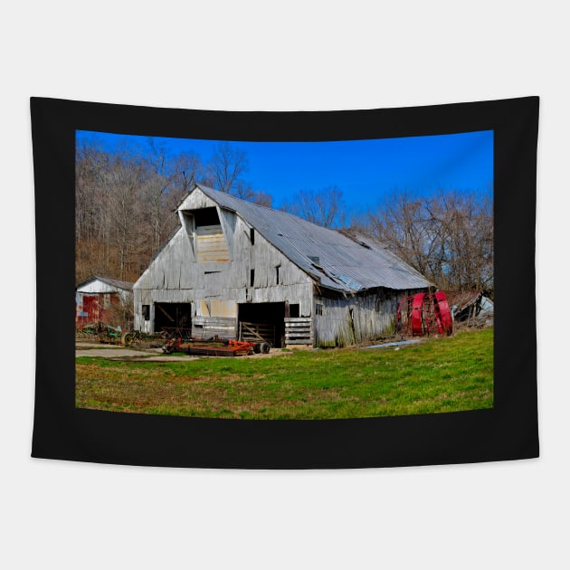 Another Old Barn (4) Tapestry by michaelasamples