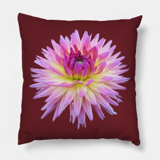 Dahlia Pink Jupiter Pillow