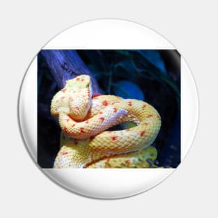 Eyelash Viper Pin