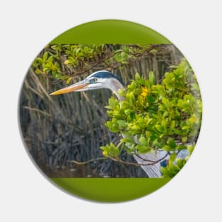 Great Blue Heron Hiding In the Mangroves Pin