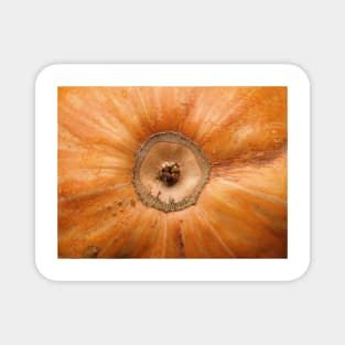 Pumpkin Close Up Magnet