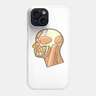 Muscles and External Anatomy of the Human Head Phone Case