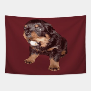 Rottweiler Puppy with Shocked Open Mouth Expression Tapestry