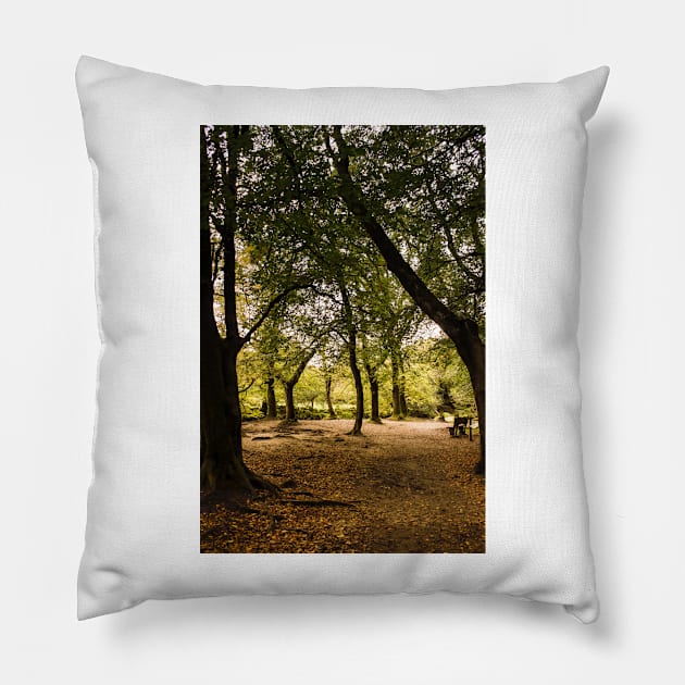 Autumn Walk Golitha falls Pillow by avrilharris