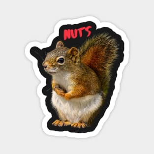 Nuts, Squirrel Magnet