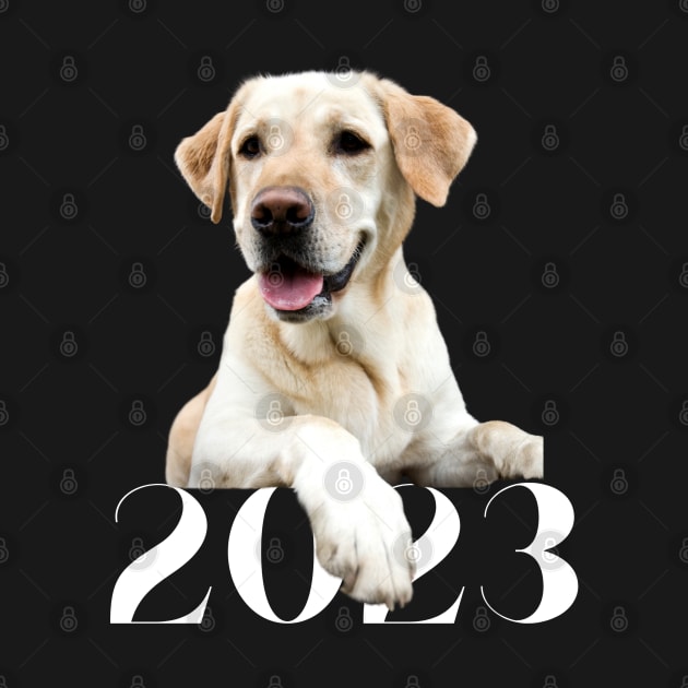 2023 Canine Design by B C Designs