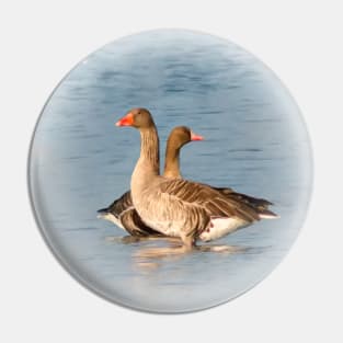 Wild geese Pin