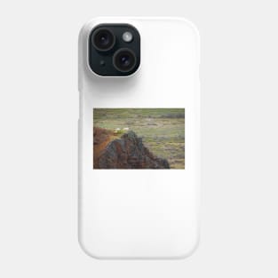 Dall Sheep on Hill Phone Case