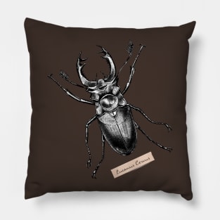 Stag Beetle - Lucanus Cervus Pillow