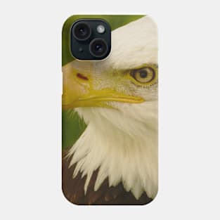 Bald Eagle (Warm) Phone Case