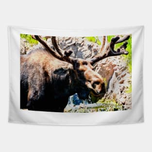 Moose Tapestry