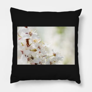 White cherry flowers Pillow