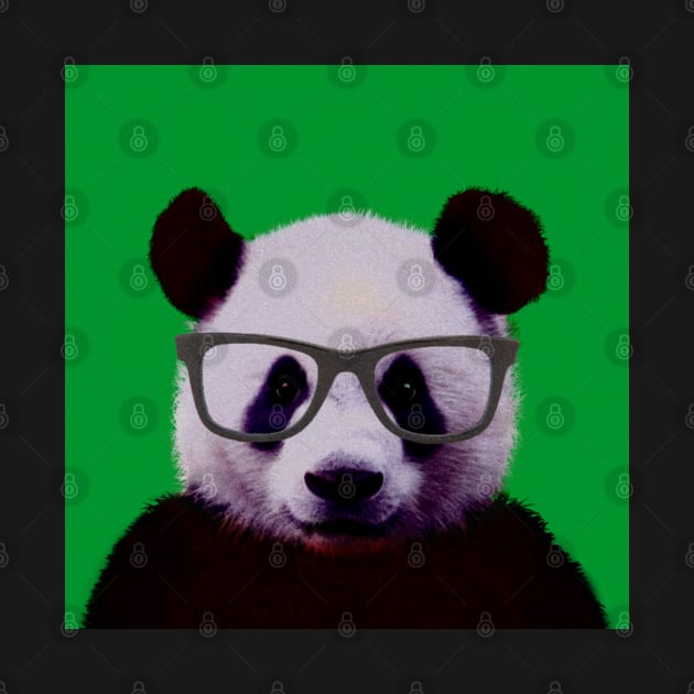 Geeky Nerd Panda in Green Background - Print / Home Decor / Wall Art / Poster / Gift / Birthday / Panda Lover Gift / Animal print by luigitarini