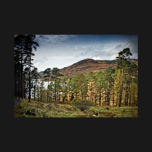 Glentrool Photograph Dumfries and Galloway T-Shirt