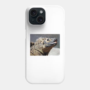 Sailfin Lizard Phone Case