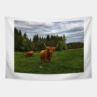 Scottish Highland Cattle Cow 2400 Tapestry