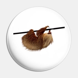 Sloth / Swiss Artwork Photography Pin