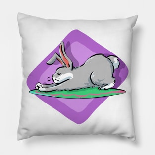 Yoga Spiritual Bunny Pet Owners Pillow