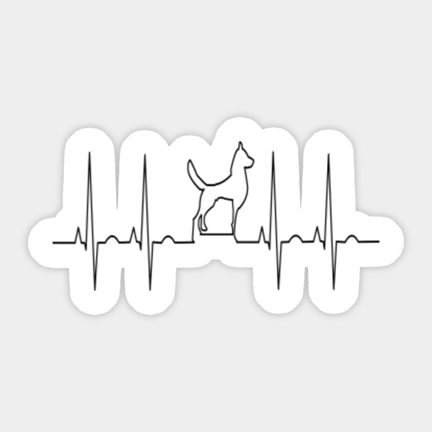 Animal Heart Rate Chart