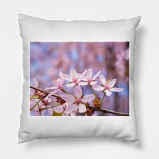 Cherry Blossom Pillow