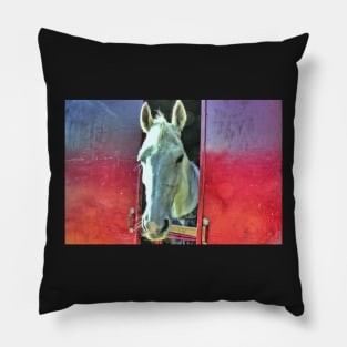 White Horse, artistic, red and blue Pillow