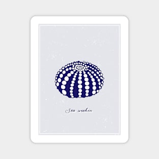 Blue sea urchin with white dots. Realistic sea life drawings. Magnet