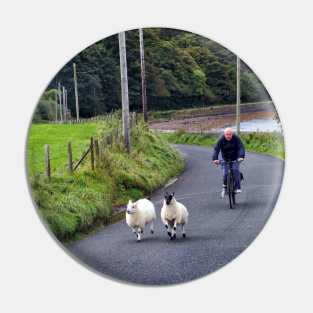 Sheep on the road - Campbeltown, Scotland Pin