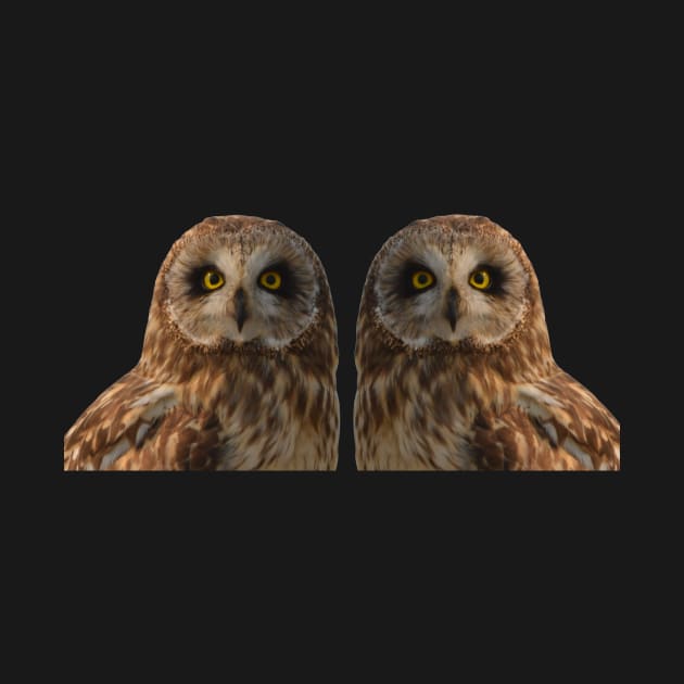 Dos Owls by Whisperingpeaks