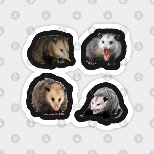 Possum Sticker Pack Magnet by CatGirl101