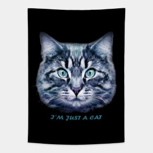 I'm just a cat Tapestry