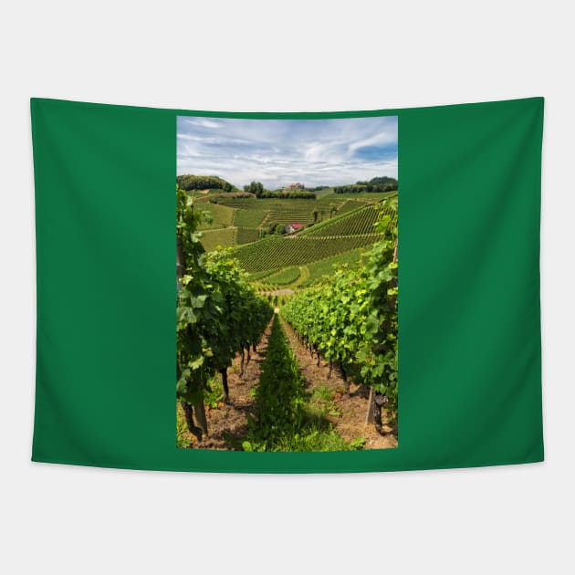 The Vineyard Tapestry by yairkarelic