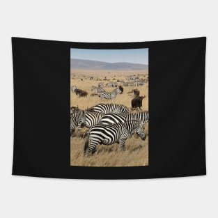 Zebra Migration, and Wildebeest, Maasai Mara, Kenya Tapestry