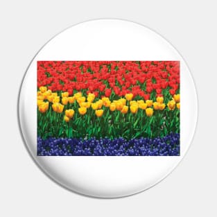 The Netherlands Lisse Close Up Of Flowers Pin