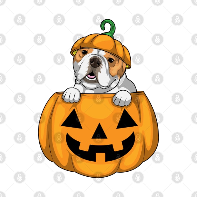 English bulldog Halloween Pumpkin by Markus Schnabel