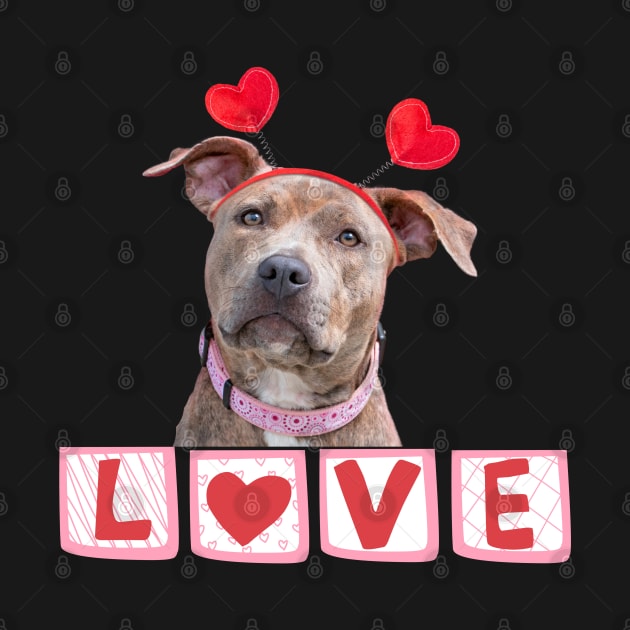 Pitbull Valentine by TempoTees