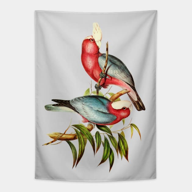 Pink and Grey Galah Australian Tapestry by KarwilbeDesigns