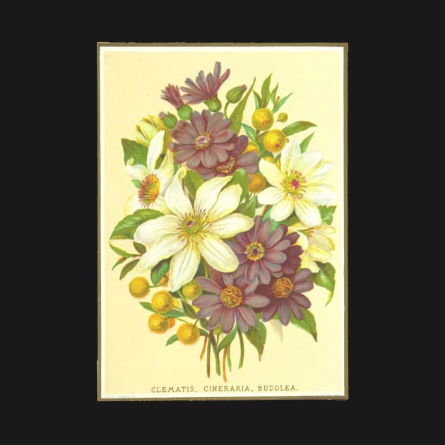 Clematis, Cineraria, Buddlea by Seventy Seven