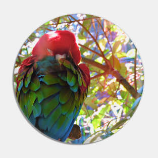 Scarlet Macaw V2 Pin