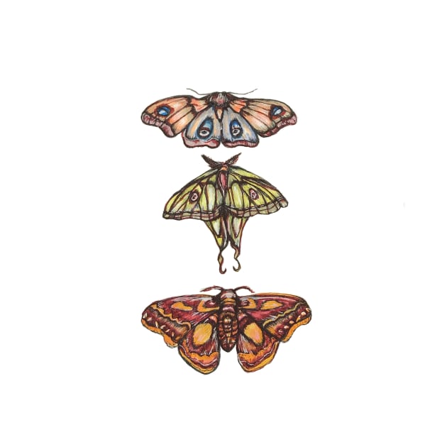 Moth Collection by corianndesigns