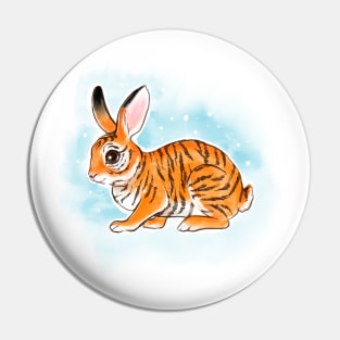 Year of the tiger and rabbit Pin