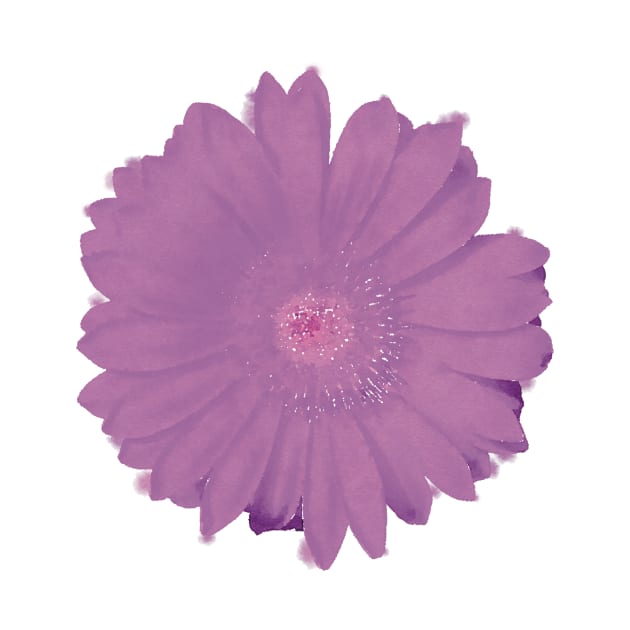 Purple Daisy Flower by Griffelkinn