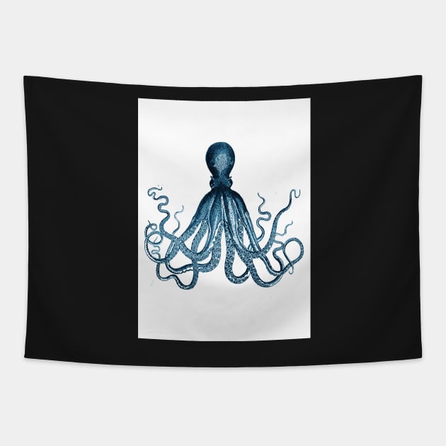 cuttlefish design Tapestry by Highdown73
