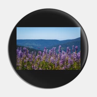 Lupine flowers and mountains Pin