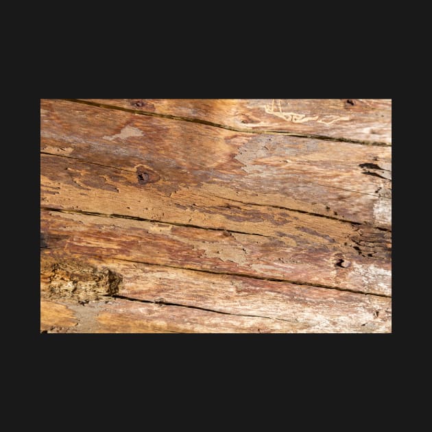 Wooden texture by textural