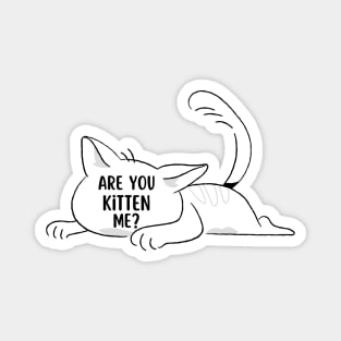 Are you kitten me | Cat lovers gift Magnet