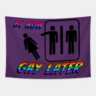 Bi Now Gay Later Tapestry