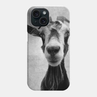 Goat Portrait in Black and White Phone Case